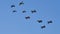 High skilled military pilots in flight in a perfect planes formation
