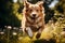 A high-speed shot of a playful dog running with its tongue out, capturing the joy and energy of our canine companions. Generative