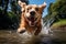 A high-speed shot of a playful dog running with its tongue out, capturing the joy and energy of our canine companions. Generative