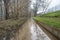 The high state of the river Rhine in western Germany, which emerged from the riverbed, flooded pavement and bicycle path.