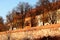 High stone and brick wall and walkway. residential apartment buildings. chestnut trees in the fall