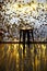 High stool on a metal base against the background of the wall with sequins. The glare is reflected on the floor