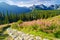 High Tatra Mountains trail landscape nature Carpathians Poland