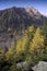 High Tatras, Mala Studena valley: colors autumn under Lomnicky Peak