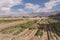 High Tech Experimental Farm in the Arava Desert in Israel