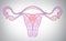 High tech line art of female reproductive system, time, monthly cycle