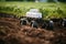 High-tech robots designed for agriculture Integrating robots with sustainable farming practices AI Generated