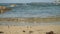 High tide with breathtaking blue rippling water splash on the Cyprus sand beach. Small waves create foam and bubbles.