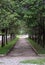 High tree arch along the concrete way