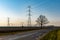 High tree full of branches near energetic poles