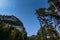 high trees and a mountain with pinetrees while hiking in the mountains