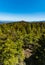 High trees with panorama of Jizery mountains seen from high rocks