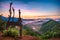 High views with views of mountains and fog interspersed among lush green forests at sunrise, golden light, sky and colorful clouds