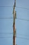 High Voltage Electric Pole with Fuse and Power Cable with bright blue sky as the background