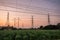 High voltage of electric poles with electric wire on corn field in countryside