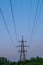 A high-voltage electricity tower with sagging wires at dusk against a background of green trees. The concept of the