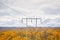High voltage power lines in Abisko national park, Sweden