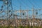 High voltage power station with tall towers and wires, industrial electricity background