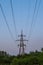 A high-voltage power tower with sagging wires against a green forest and a sunset sky. The concept of the energy crisis.