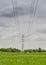 High voltage pylon over the paddy land.