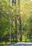 High voltage rusty tower and electricity pylon silhouette against green foliage.