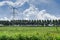 High voltage tower in the meadows of Alblasserwaard, Bleskensgraaf, The Netherlands