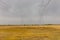 High-voltage towers. Typical industrial landscape