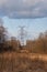 High-voltage transmission line in the spring forest at sunset against the background of the April blue sky with light clouds.