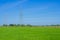 High voltage transmission pole in a bright green rice field