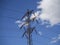 High voltage wires power plant - on blue sky white clouds