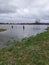 High water in Holand, flooded landscape.