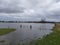 High water in Holland, flooded landscape.