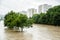 High Water Level on Danube River