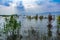 High water level in the Sea of Galilee