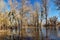 High water and seasonal flood in springtime after melting of snow