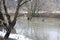 High water on a small river in the Moscow region, high water level on the Bitsa river, submerged trees, background, spring 2021