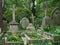 Highgate cemetery, London