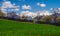 Highland barley field