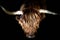 highland cow artistic portrait
