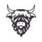 Highland cow head design on white background. Farm Animal. Cows logos or icons. vector illustration