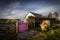 Highland cow in Scotland standing next to a pink gate