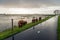 Highland cows grazing behind a fence on the slope of an embankment