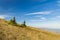 Highland hill mountain landscape with two small pine trees vivid spring time clear weather day panoramic scenic view blue sky