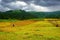 Highland landscape and a hiker in Kaleboynu plateau, Ordu, Turkey