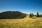 Highland plateau mountain forest landscape spring time season clear weather day blue sky horizon background national park space