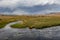 A highland river valley with yellow meadow at central mongolia