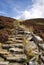 Highland Stairway