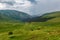 Highlands and green meadows Oshten Fisht in the Caucasus Reserve. Caucasian reserve, mountain, Krasnodar region