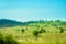 Highlands and lowlands in the mountains covered with grass