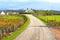 Highlands of Scotland narrow road rural landscape, Uk